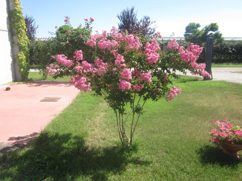 Al Casale B&B Cherasco Luaran gambar